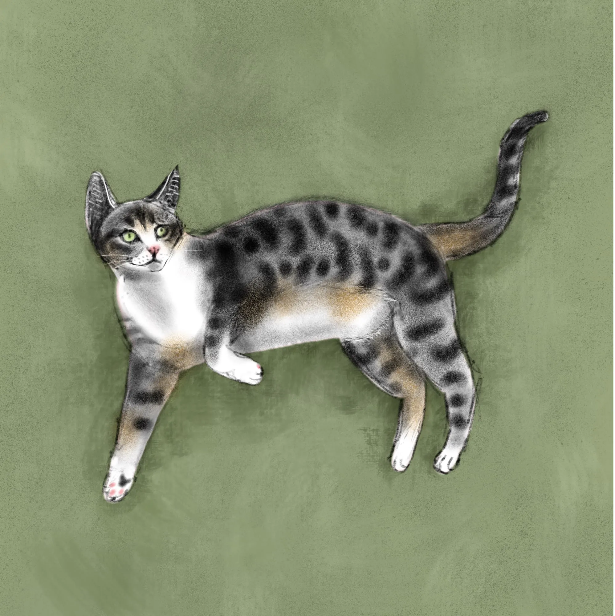 Digital painting of a small, fluffy white dog named Kiki.